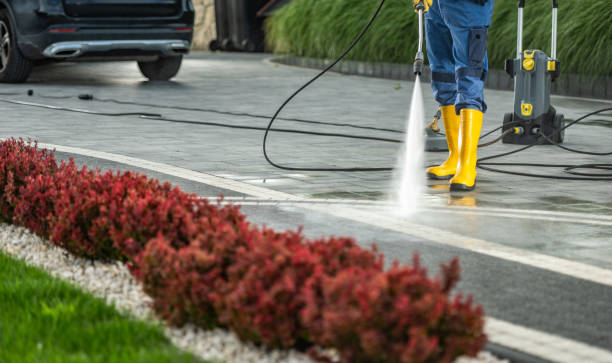 Best Sidewalk and Walkway Cleaning  in Diamond Springs, CA